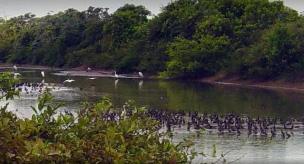 Jovem morre afogado durante pesca no rio Javaés