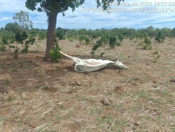 Mais uma cidade tocantinense decreta situação de emergência por conta da seca