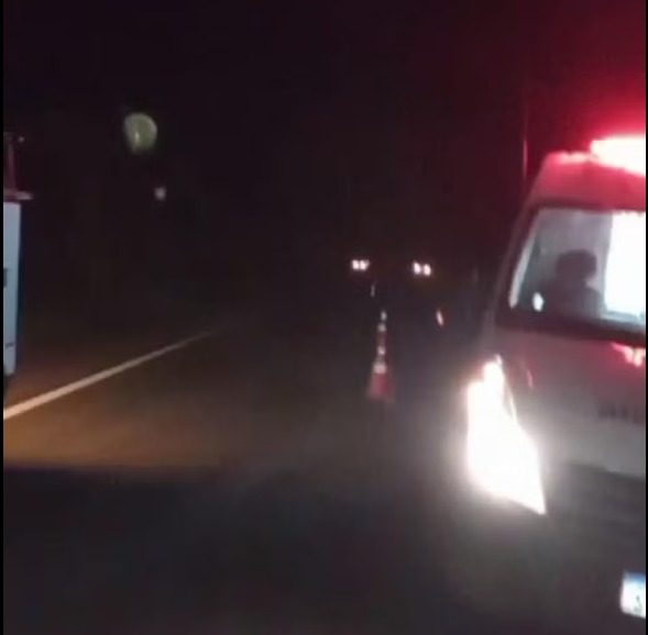 Mulher grávida e companheiro morrem após moto bater contra vaca na BR-242