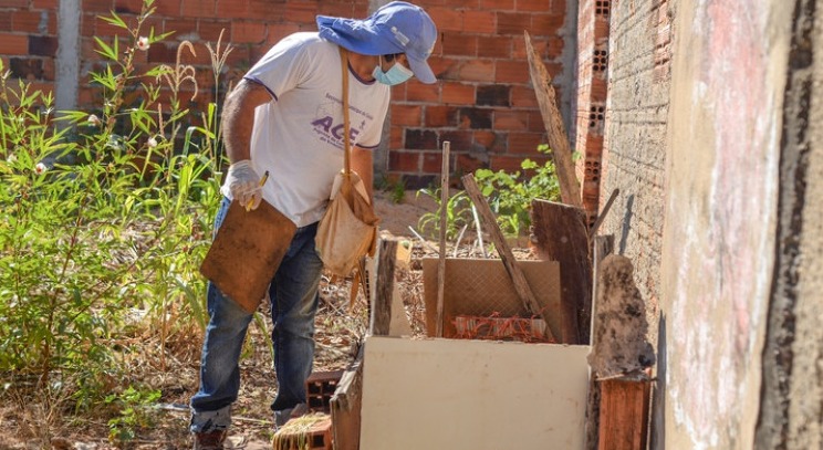 Casos de dengue caem 85% no Tocantins em 2023, mas aumentam os de zika e chikungunya