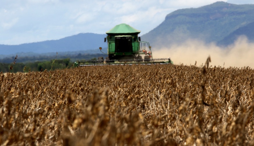 SOJA: Valores recuam para patamares de 2020