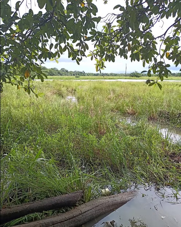 Idoso de 81 anos desaparece após sair para pescar e corpo é encontrado em represa