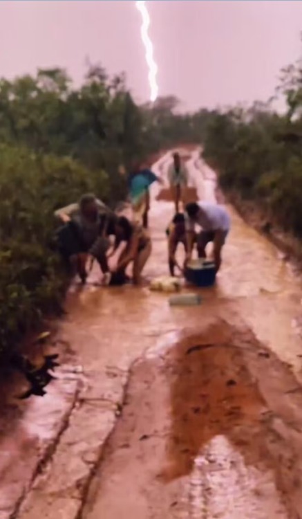 Raio cai enquanto turistas esperam carro ser retirado de atoleiro no Jalapão;