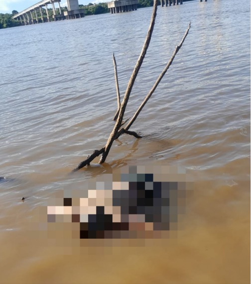 Corpo de idoso que estava desaparecido é encontrado por pescadores dentro do rio Tocantins