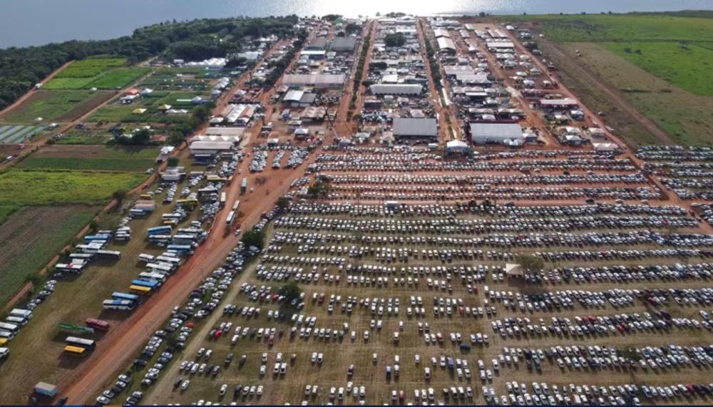 Produtores e empreendedores podem fazer cadastro para expor na Agrotins 2024; saiba como