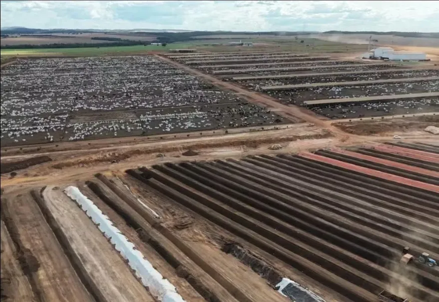 Tocantins soma mais de R$ 13 bilhões em exportações em 2026; soja e carne lideram